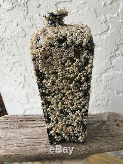 1700s black glass olive green clay mold Gin bottle barnacles / Florida