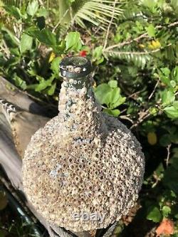 1700s early Black glass onion bottle covered with barnacles / Florida