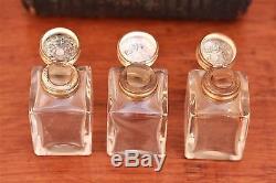 19th Century Travelers 3 Bottle Scent, Perfume Casket, Bottle Coffin Case