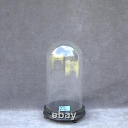 Antique Round HandBlown Glass Dome cloche 10 26cm Steampunk Doll Clock Display