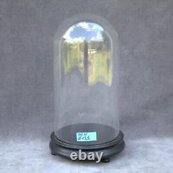 Antique Round HandBlown Glass Dome cloche 10 26cm Steampunk Doll Clock Display