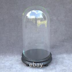 Antique Round HandBlown Glass Dome cloche 10 26cm Steampunk Doll Clock Display