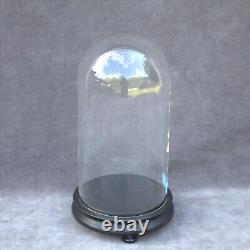 Antique Round HandBlown Glass Dome cloche 10 26cm Steampunk Doll Clock Display