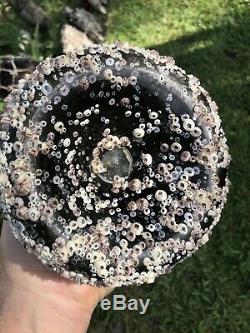 Early Black glass onion bottle covered with barnacles / Florida