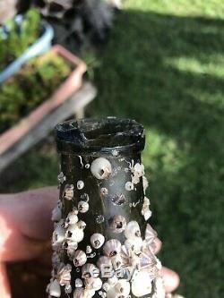 Early Black glass onion bottle covered with barnacles / Florida