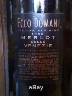 Magnum Bottle Wine SIGNED ETCHED BLACK RED SILVER GLASS 3L XX Ecco Domani 1996