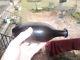 Open Pontil Black Glass Torpedo Bottle