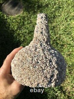 Tall early Black glass onion bottle covered with barnacles / Florida