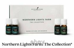 Young Living NORTHERN LIGHTS 4 Essential oil Subalpine Fir Spruce Lodgepole Pine